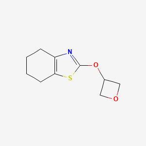 molecular formula C10H13NO2S B2549663 2-(Oxetan-3-yloxy)-4,5,6,7-tetrahydro-1,3-benzothiazole CAS No. 2198021-89-3