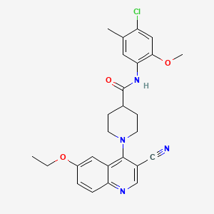 N-(4-chloro-2-methoxy-5-methylphenyl)-1-(3-cyano-6-ethoxyquinolin-4-yl)piperidine-4-carboxamide