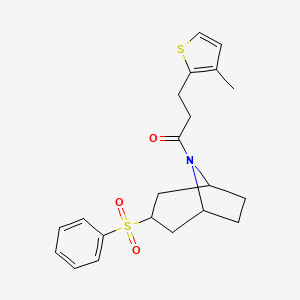 3-(3-methylthiophen-2-yl)-1-((1R,5S)-3-(phenylsulfonyl)-8-azabicyclo[3.2.1]octan-8-yl)propan-1-one