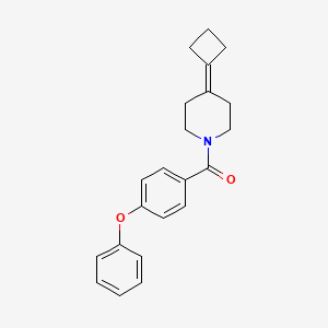 (4-Cyclobutylidenepiperidin-1-yl)-(4-phenoxyphenyl)methanone