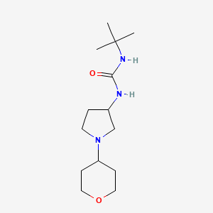 molecular formula C14H27N3O2 B2551181 3-Tert-butyl-1-[1-(oxan-4-yl)pyrrolidin-3-yl]urea CAS No. 2415542-69-5
