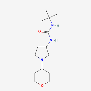 molecular formula C14H27N3O2 B2551181 1-Tert-butyl-3-[1-(oxan-4-yl)pyrrolidin-3-yl]urea CAS No. 2415542-69-5