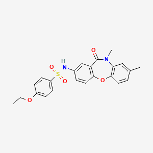 molecular formula C23H22N2O5S B2552502 N-(8,10-dimethyl-11-oxo-10,11-dihydrodibenzo[b,f][1,4]oxazepin-2-yl)-4-ethoxybenzenesulfonamide CAS No. 921899-07-2