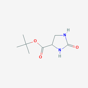 molecular formula C8H14N2O3 B2552993 Tert-butyl 2-oxoimidazolidine-4-carboxylate CAS No. 1822441-39-3