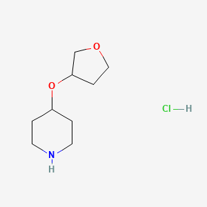 molecular formula C9H18ClNO2 B2553065 4-(Oxolan-3-yloxy)piperidine hydrochloride CAS No. 1909316-51-3