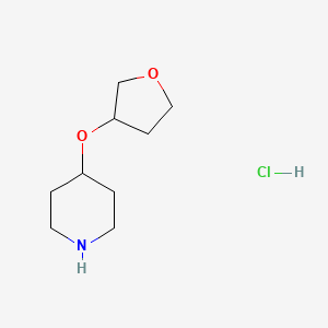 4-(Oxolan-3-yloxy)piperidine hydrochloride