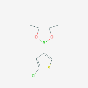 5-Chlorothiophene-3-boronic acid pinacol ester