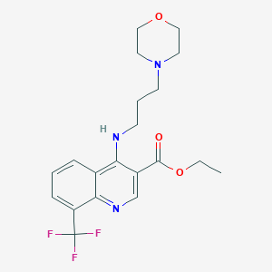molecular formula C20H24F3N3O3 B255456 MFCD03786320 