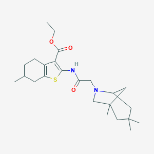 molecular formula C24H36N2O3S B255466 ETHYL 6-METHYL-2-(2-{1,3,3-TRIMETHYL-6-AZABICYCLO[3.2.1]OCTAN-6-YL}ACETAMIDO)-4,5,6,7-TETRAHYDRO-1-BENZOTHIOPHENE-3-CARBOXYLATE 