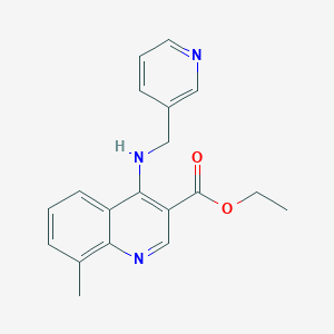 molecular formula C19H19N3O2 B255494 MFCD02730438 
