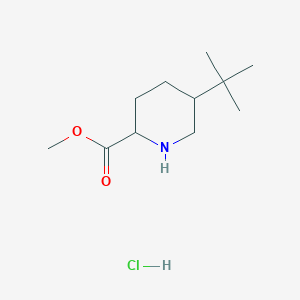 molecular formula C11H22ClNO2 B2556203 Methyl 5-tert-butylpiperidine-2-carboxylate;hydrochloride CAS No. 2305253-92-1