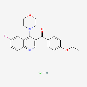 molecular formula C22H22ClFN2O3 B2556509 3-(4-Ethoxybenzoyl)-6-fluoro-4-(morpholin-4-yl)quinoline hydrochloride CAS No. 2097866-13-0