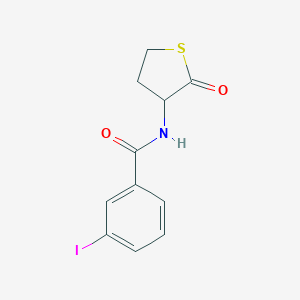 molecular formula C11H10INO2S B255728 3-iodo-N-(2-oxothiolan-3-yl)benzamide 