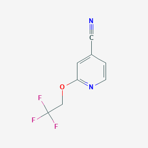 molecular formula C8H5F3N2O B2561479 2-(2,2,2-三氟乙氧基)吡啶-4-腈 CAS No. 618446-30-3