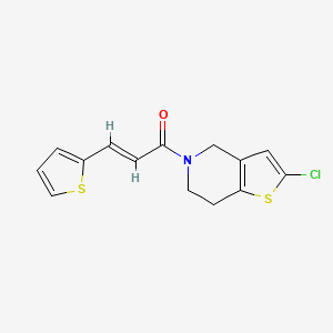 molecular formula C14H12ClNOS2 B2562139 (E)-1-(2-chloro-6,7-dihydrothieno[3,2-c]pyridin-5(4H)-yl)-3-(thiophen-2-yl)prop-2-en-1-one CAS No. 2034896-76-7