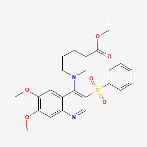 molecular formula C25H28N2O6S B2564288 Ethyl 1-[3-(benzenesulfonyl)-6,7-dimethoxyquinolin-4-yl]piperidine-3-carboxylate CAS No. 897758-71-3