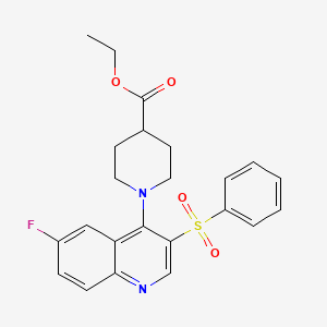 molecular formula C23H23FN2O4S B2564888 Ethyl 1-[3-(benzenesulfonyl)-6-fluoroquinolin-4-yl]piperidine-4-carboxylate CAS No. 866844-21-5