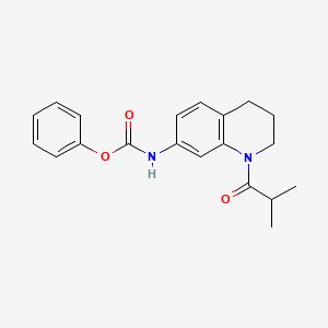 molecular formula C20H22N2O3 B2565845 Phenyl (1-isobutyryl-1,2,3,4-tetrahydroquinolin-7-yl)carbamate CAS No. 941944-97-4