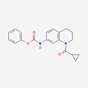 molecular formula C20H20N2O3 B2566099 phenyl N-(1-cyclopropanecarbonyl-1,2,3,4-tetrahydroquinolin-7-yl)carbamate CAS No. 897611-99-3