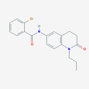 molecular formula C19H19BrN2O2 B2569515 2-bromo-N-(2-oxo-1-propyl-1,2,3,4-tetrahydroquinolin-6-yl)benzamide CAS No. 954660-23-2