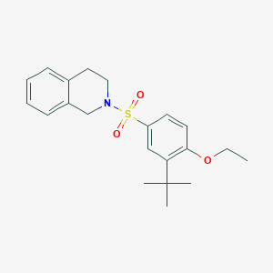 2-(3-Tert-butyl-4-ethoxybenzenesulfonyl)-1,2,3,4-tetrahydroisoquinoline