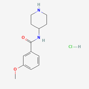 3-methoxy-N-(piperidin-4-yl)benzamide hydrochloride