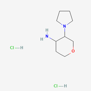 3-(Pyrrolidin-1-yl)oxan-4-amine dihydrochloride