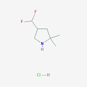 B2574750 4-(Difluoromethyl)-2,2-dimethylpyrrolidine;hydrochloride CAS No. 2416229-43-9