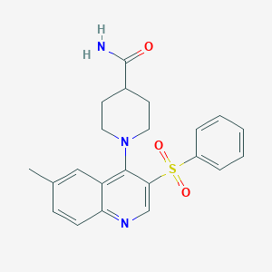 1-[3-(Benzenesulfonyl)-6-methylquinolin-4-yl]piperidine-4-carboxamide