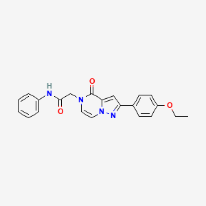 molecular formula C22H20N4O3 B2576760 2-[2-(4-ethoxyphenyl)-4-oxopyrazolo[1,5-a]pyrazin-5(4H)-yl]-N-phenylacetamide CAS No. 941876-35-3