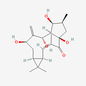 molecular formula C20H30O5 B2576793 7beta-Hydroxylathyrol CAS No. 34208-98-5