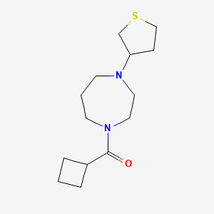 molecular formula C14H24N2OS B2578015 1-Cyclobutanecarbonyl-4-(thiolan-3-YL)-1,4-diazepane CAS No. 2190136-32-2