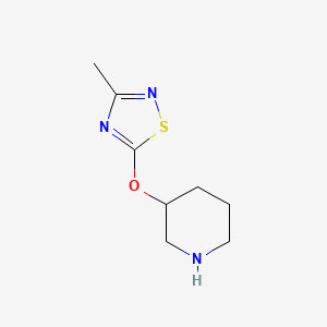 3-[(3-Methyl-1,2,4-thiadiazol-5-yl)oxy]piperidine