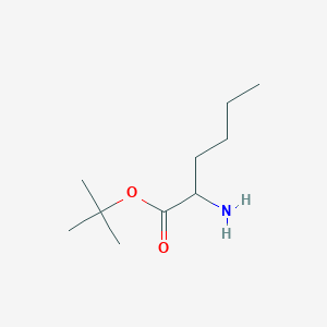 molecular formula C10H21NO2 B2585437 Tert-butyl 2-aminohexanoate CAS No. 17389-04-7