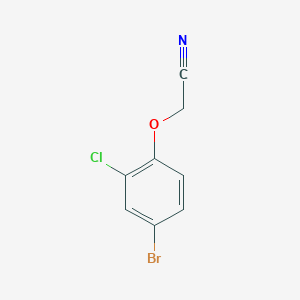 molecular formula C8H5BrClNO B2585565 2-(4-Bromo-2-chlorophenoxy)acetonitrile CAS No. 951918-41-5