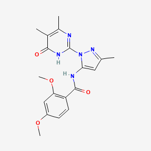 N-(1-(4,5-dimethyl-6-oxo-1,6-dihydropyrimidin-2-yl)-3-methyl-1H-pyrazol-5-yl)-2,4-dimethoxybenzamide