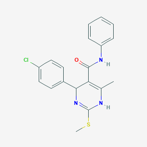 molecular formula C19H18ClN3OS B258689 4-(4-chlorophenyl)-6-methyl-2-methylsulfanyl-N-phenyl-1,4-dihydropyrimidine-5-carboxamide 