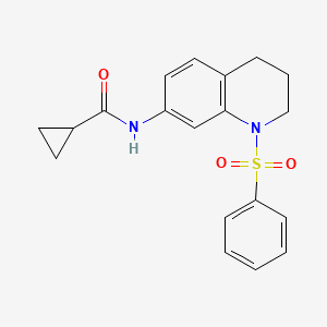molecular formula C19H20N2O3S B2587316 N-[1-(benzenesulfonyl)-1,2,3,4-tetrahydroquinolin-7-yl]cyclopropanecarboxamide CAS No. 1005299-15-9