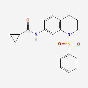 N-[1-(benzenesulfonyl)-3,4-dihydro-2H-quinolin-7-yl]cyclopropanecarboxamide