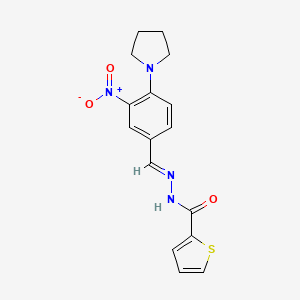 molecular formula C16H16N4O3S B2587464 N'-[(1E)-[3-nitro-4-(pyrrolidin-1-yl)phenyl]methylidene]thiophene-2-carbohydrazide CAS No. 328263-31-6
