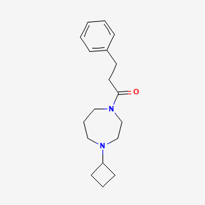 1-(4-Cyclobutyl-1,4-diazepan-1-yl)-3-phenylpropan-1-one