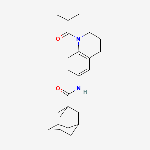 molecular formula C24H32N2O2 B2589403 N-[1-(2-methylpropanoyl)-1,2,3,4-tetrahydroquinolin-6-yl]adamantane-1-carboxamide CAS No. 1005292-88-5