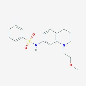molecular formula C19H24N2O3S B2589705 N-(1-(2-methoxyethyl)-1,2,3,4-tetrahydroquinolin-7-yl)-3-methylbenzenesulfonamide CAS No. 1171463-50-5