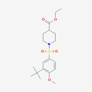 molecular formula C19H29NO5S B2590312 Ethyl 1-(3-tert-butyl-4-methoxyphenyl)sulfonylpiperidine-4-carboxylate CAS No. 873589-26-5