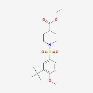 Ethyl 1-(3-tert-butyl-4-methoxyphenyl)sulfonylpiperidine-4-carboxylate