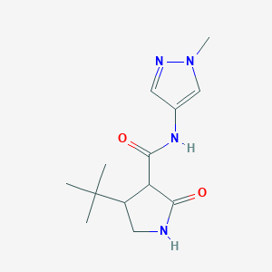 molecular formula C13H20N4O2 B2590627 4-tert-butyl-N-(1-methyl-1H-pyrazol-4-yl)-2-oxopyrrolidine-3-carboxamide CAS No. 2097916-98-6