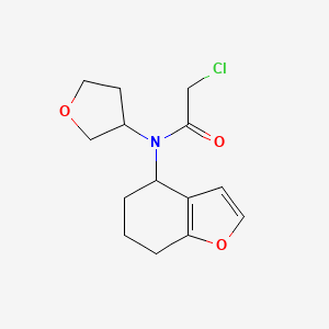 molecular formula C14H18ClNO3 B2591020 2-Chloro-N-(oxolan-3-yl)-N-(4,5,6,7-tetrahydro-1-benzofuran-4-yl)acetamide CAS No. 2411251-96-0