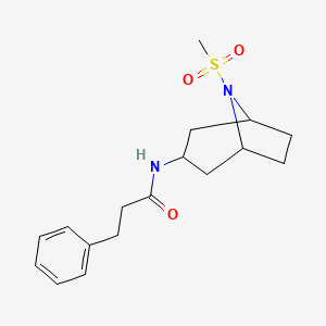 molecular formula C17H24N2O3S B2591434 N-(8-(methylsulfonyl)-8-azabicyclo[3.2.1]octan-3-yl)-3-phenylpropanamide CAS No. 2034426-68-9