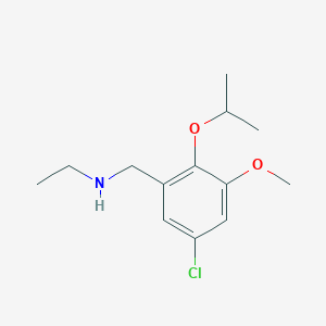 molecular formula C13H20ClNO2 B259202 N-(5-chloro-2-isopropoxy-3-methoxybenzyl)-N-ethylamine 