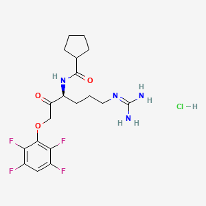 molecular formula C19H25ClF4N4O3 B2592188 Kgp-IN-1 hydrochloride 